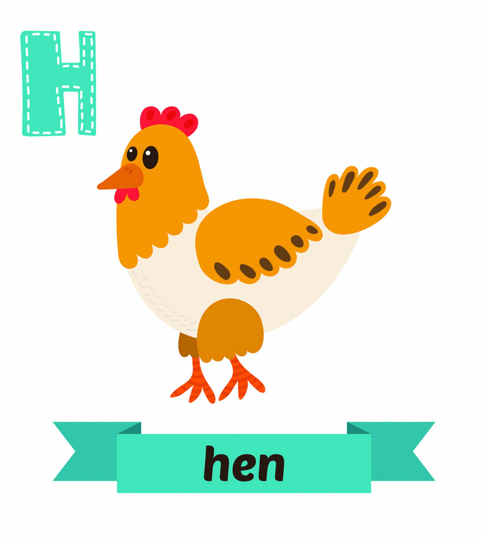 A Vocabulary List Built Just for Chicken Owners Backyard Poultry